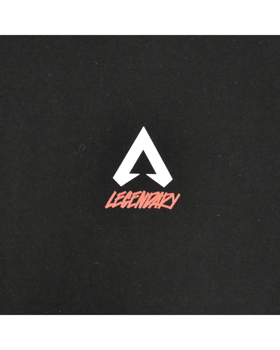 APEX LEGENDS ™ (エーペックスレジェンズ) ロゴ Tシャツ